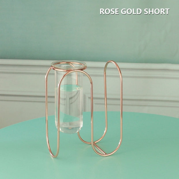 Creative golden Glass Vase