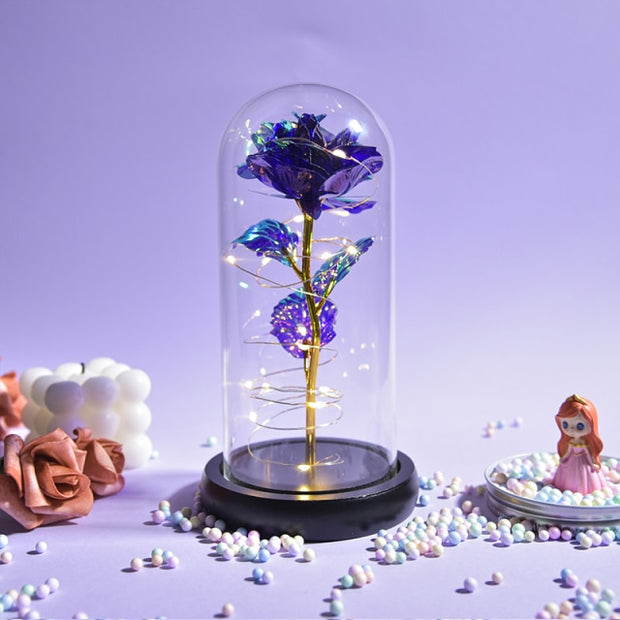 Beauty and The Beast Preserved Roses In Glass Galaxy Rose Flower LED Light