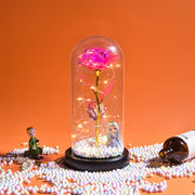 Beauty and The Beast Preserved Roses In Glass Galaxy Rose Flower LED Light