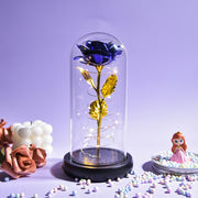 Beauty and The Beast Preserved Roses In Glass Galaxy Rose Flower LED Light