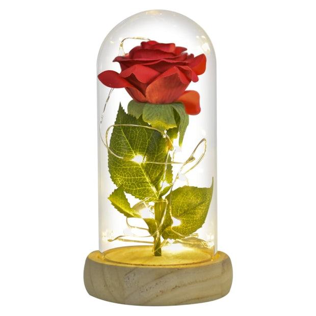 Beauty and The Beast Preserved Roses In Glass Galaxy Rose Flower LED Light