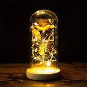 LED Enchanted Galaxy Rose Eternal 24K Gold Foil Flower