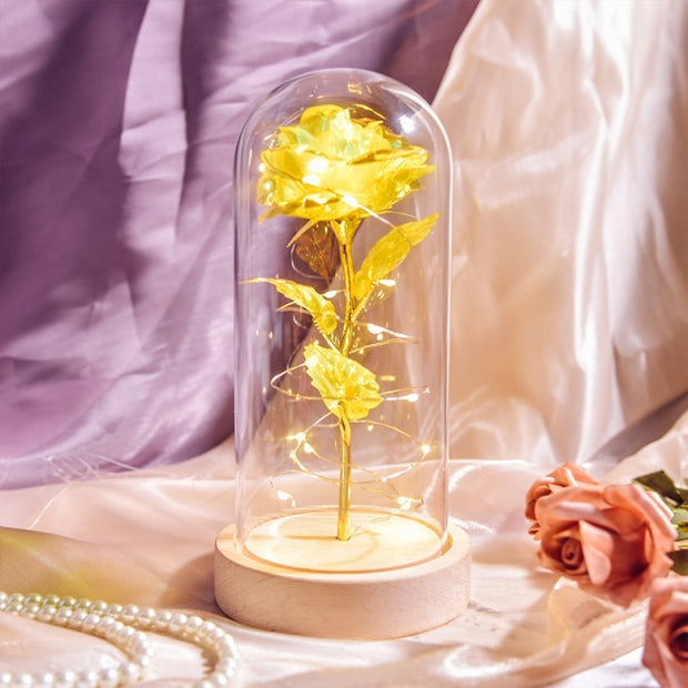 Beauty and The Beast Preserved Roses In Glass Galaxy Rose Flower LED Light