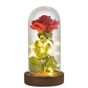 Beauty and The Beast Preserved Roses In Glass Galaxy Rose Flower LED Light