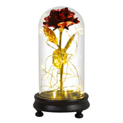 Beauty and The Beast Preserved Roses In Glass Galaxy Rose Flower LED Light