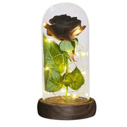 Beauty and The Beast Preserved Roses In Glass Galaxy Rose Flower LED Light