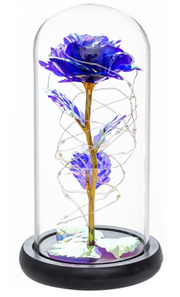 Beauty and The Beast Preserved Roses In Glass Galaxy Rose Flower LED Light