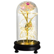 Beauty and The Beast Preserved Roses In Glass Galaxy Rose Flower LED Light