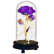 Beauty and The Beast Preserved Roses In Glass Galaxy Rose Flower LED Light