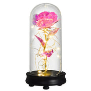 Beauty and The Beast Preserved Roses In Glass Galaxy Rose Flower LED Light