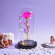 Beauty and The Beast Preserved Roses In Glass Galaxy Rose Flower LED Light