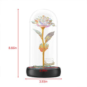 Beauty and The Beast Preserved Roses In Glass Galaxy Rose Flower LED Light