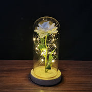 LED Enchanted Galaxy Rose Eternal 24K Gold Foil Flower