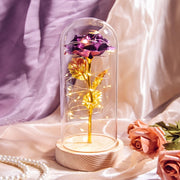 Beauty and The Beast Preserved Roses In Glass Galaxy Rose Flower LED Light