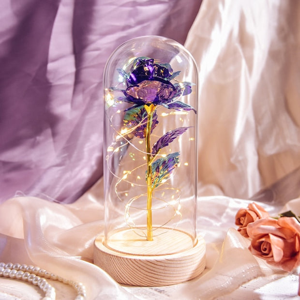 Beauty and The Beast Preserved Roses In Glass Galaxy Rose Flower LED Light