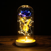 LED Enchanted Galaxy Rose Eternal 24K Gold Foil Flower