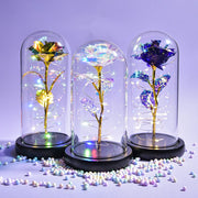 Beauty and The Beast Preserved Roses In Glass Galaxy Rose Flower LED Light