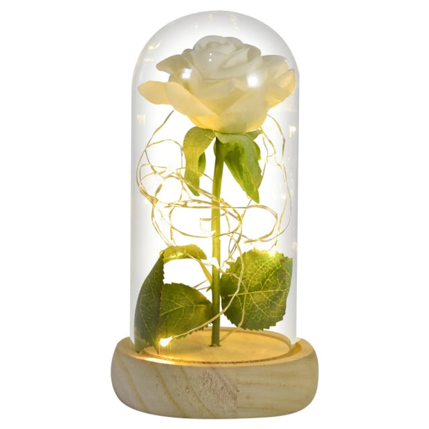 Beauty and The Beast Preserved Roses In Glass Galaxy Rose Flower LED Light