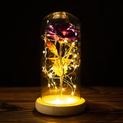 LED Enchanted Galaxy Rose Eternal 24K Gold Foil Flower