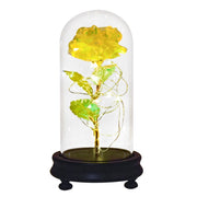 Beauty and The Beast Preserved Roses In Glass Galaxy Rose Flower LED Light