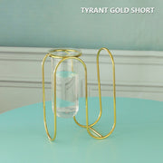 Creative golden Glass Vase