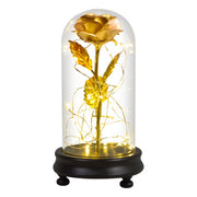 Beauty and The Beast Preserved Roses In Glass Galaxy Rose Flower LED Light