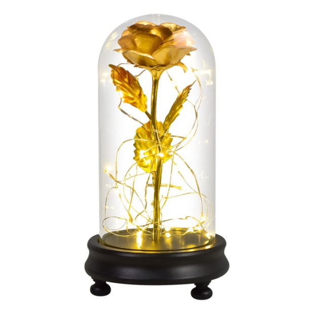 Beauty and The Beast Preserved Roses In Glass Galaxy Rose Flower LED Light