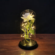 LED Enchanted Galaxy Rose Eternal 24K Gold Foil Flower