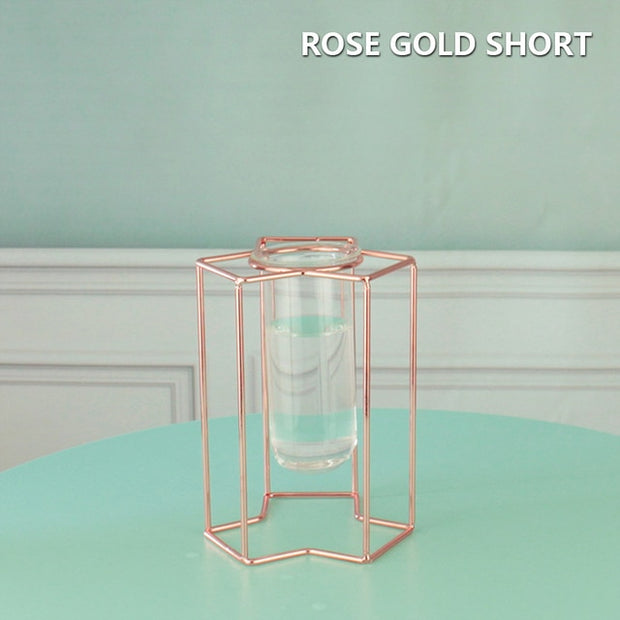 Creative golden Glass Vase