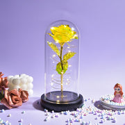 Beauty and The Beast Preserved Roses In Glass Galaxy Rose Flower LED Light